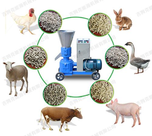 多功能饲料颗粒机可以加工出各种颗粒饲料